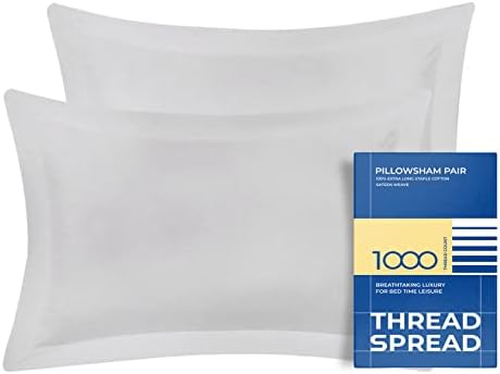 100% Egyptian Quality Cotton Pillow Shams with Envelope Closure 1000 Thread Count Sateen Weave 2 PCs by Thread Spread (Queen 21” x 32”, Silver)