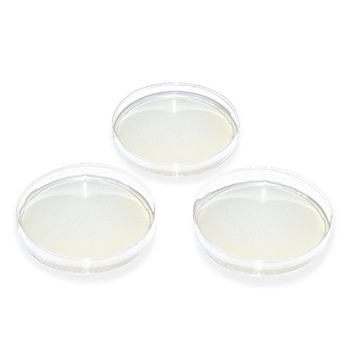 MegroPlate Candida Elektivagarnach NICKERSON 4x5 plaques de culture en boîte de Petri