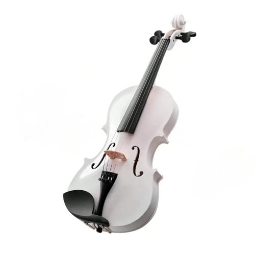 AR[XeBbNoCI 4/4 tTCY zCg AR[XeBbNoCIP[XƋ|