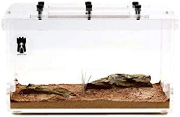 Empire of Ants "Wilderness Outworld Arena Enclosure
