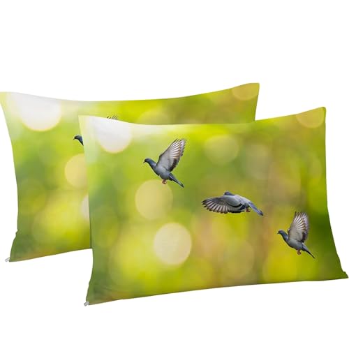 Housse couette en microfibre douce 240x260 parure de lit oiseaux vert - 5