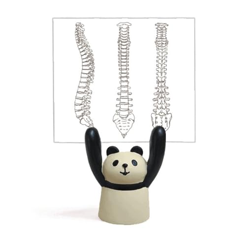 Support de squelette panda pour croquis dessin animé et animation stop motion