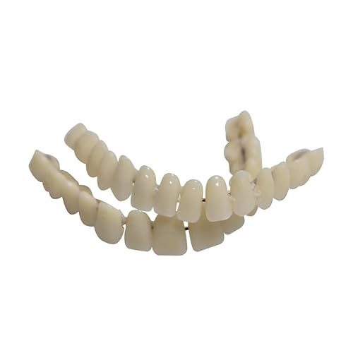 Lot de 28 fausses dents dentaires en résine pour Halloween, horreur, fête, accessoires pour maquillage et cosplay – vue 4