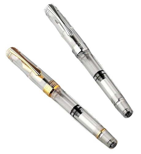 Stylo plume à piston en acrylique transparent PURYN plume ronde F