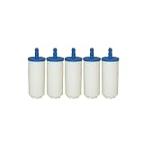 Filtro del carburante per 506264111 K750 K760 K970 K1270 KV960 K960 III 371K EPA(5 Pezzi)