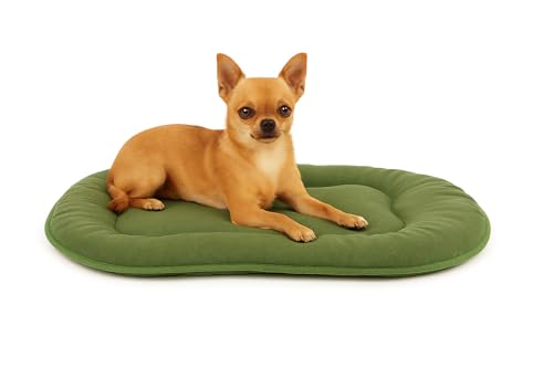 Hundekissen - Katzenkissen - Hundekissen oval - Hundekissen kleine Hunde 45 x 33 cm - Flamingo Hundekissen Firenze Dünn Oval Grün
