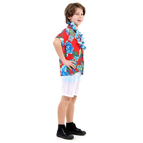 Fantasia Havaiano Basic Infantil Sulamericana Fantasias P 3/4 Anos