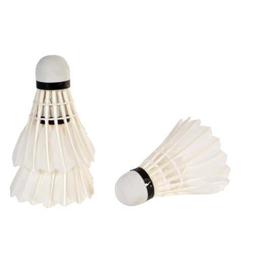 Volantes de bádminton SportX de pluma blanca pack de 3 unidades en tubo