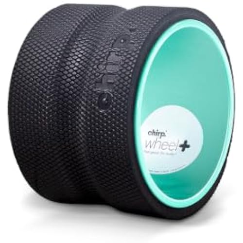 Chirp Wheel+ Foam Roller, Back & Neck Pain Relief, Mint 6-Inch