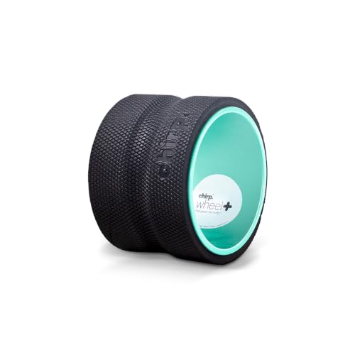 Chirp Wheel+