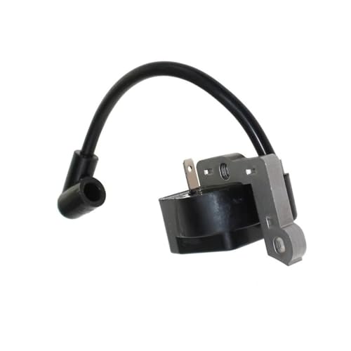 Module d'allumage électronique haute tension pour série RY30951