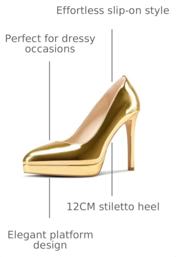 Image of Castamere Womens High Heels Platform Pumps Slip-on Stilettos 12CM Heel Office Dress Shoes