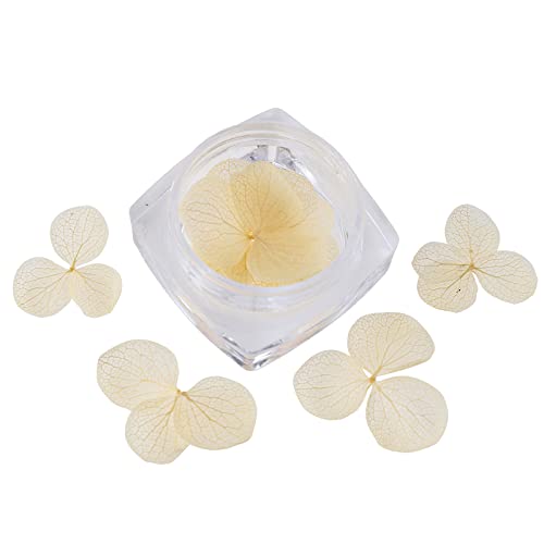 vU[uht[ AWTC Aix P[X 10 (JX^[h)