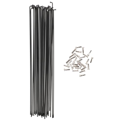 FOYTOKI ]ԗpX`[X|[N 30 ܂肽ݎ] }EeoCNΉ zC[Cp[c ϋvƕiς