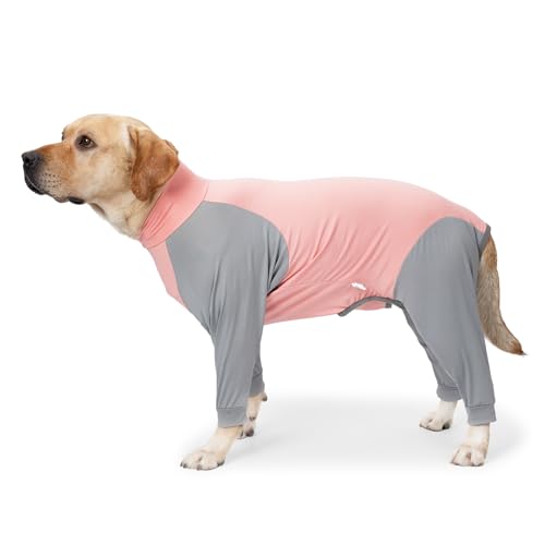 Vêtement anti-perte de poils pour chien pour protéger votre canapé