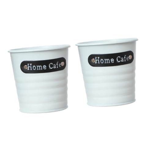 TOYANDONA 2pezzi Secchio Per Retrò in Contenitore Per Piantare Portafiori Decorativo Accessorio Per Foto Adatto Secchi e Piante