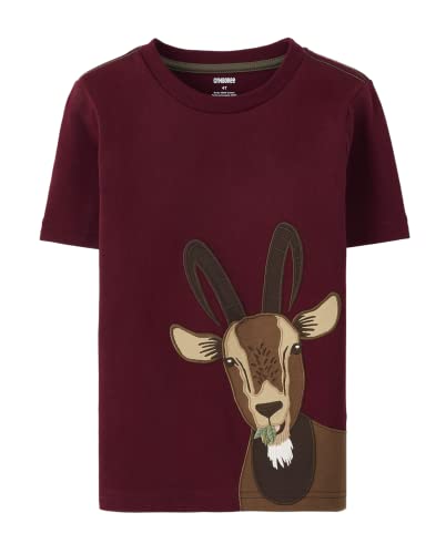 Image of Gymboree Boys and Toddler Embroidered Graphic Long Sleeve Layered T-Shirts