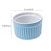 BESPORTBLE 2pcs Ceramic Pet Bowl Round Feeding Dish for Hamsters Rabbits and Animals Lightweight Easy to Color Pet Feeder for Wet and Dry Food