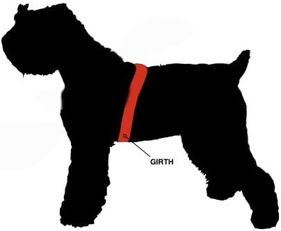 Miniatura 2 de Dean & Tyler DT Arnés universal sin tirones para perro, con parches de entrenamiento, naranja, talla XL