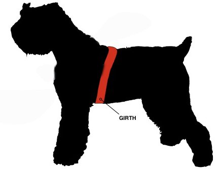 Harnais chien no pull ajustable avec patch de contrôle universel - 3