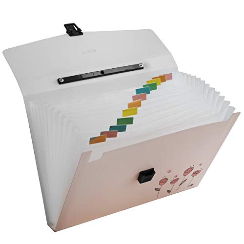 Snail&Hawk Poly Accordion Expanding-File-Folder with Handle and Tabs,A4 Size,13-Pockets,Pink