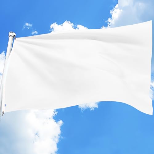 Solid 3x5 Ft Blank DIY Flag- Vivid Color and Fade Proof-Canvas Header and Double Stitched-Blank Flags Banner Polyester with Brass Grommets for Indoor Outdoor Garden Room Game Parade Sport Events