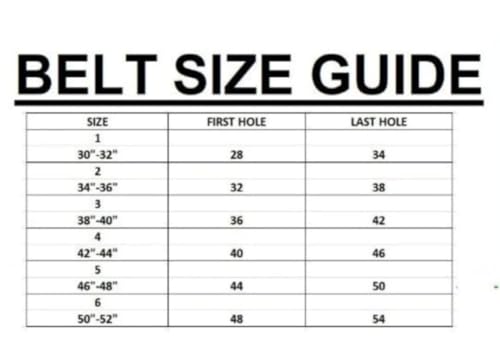 Western Leather Cartridge Belt Ammo Loops Revolver Pistol Holster Gun Case Cover .357 .358 .38 (Brown Right Hand, Size 1 (30