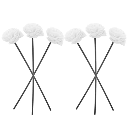 TEMPNAP 6 pt@Co[XeBbN zA}fBt[U[ւ_ Ԍ^t z[tOXp