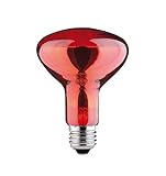 Paulmann 829.66 Reflektorlampe R95 100W E27 Glas Rot 82966 Leuchtmittel