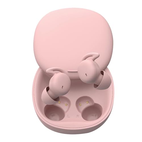 Cz 2024 Qp mCYՒf pCz pwbhtH ^̐̌