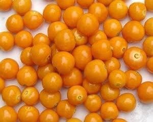 Orange Cherry Seeds, 120 Seeds