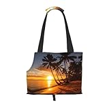 Entièrement fonctionnel : le sac est livré avec une boucle fonctionnelle, une poche principale, des poignées, des crochets et d'autres accessoires pour une utilisation facile et la sécurité des animaux de compagnie. Une touche vraiment réfléchie.