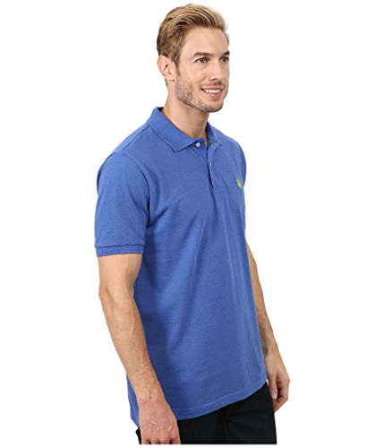 Image of U.S. POLO ASSN. Men Cotton Regular Fit Solid Polo With Small Pony