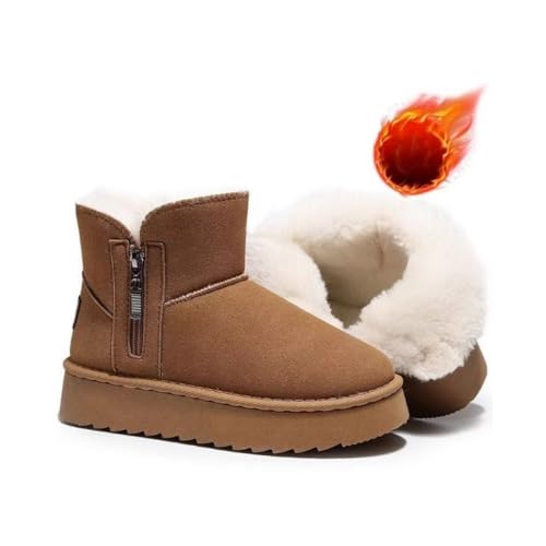 [hybmszj] V[gu[c tFCN [g U[ XG[h  v  N {A h g ₷ JWA Y  ~pu[c C ȌC gĉK ۉ h ʋ ʊw AEghA ɍœK (LS808 | 