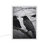 Veilleuse miroir infini : en appuyant sur un interrupteur, la lumière se transforme en un effet miroir infini captivant, ajoutant une touche de magie à n'importe quel environnement