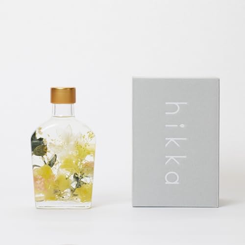 hikka (qbJ) n[oE XLbg^ KXr BOX (W72mm×D40mm×H130mm) (CG[) vU[uht[  ͂Ȃ sv { t[ Mtg v[g ̓ iFType02