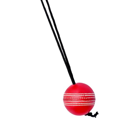 Naqqash Sports Willow Cricket Hanging Ball for Bat Knocking and Practice, 1 Hard Ball