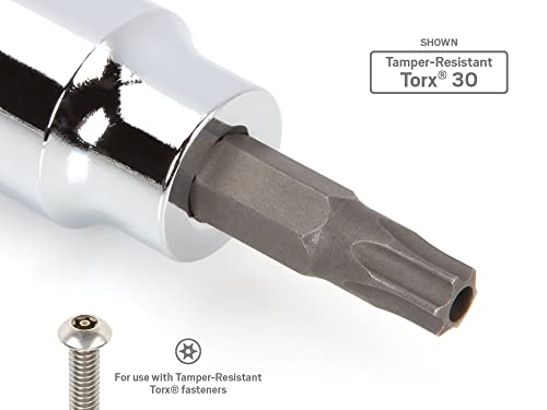 Image of TEKTON 3 /8 Inch Drive x TR20 Tamper-Resistant Torx Bit Socket | SHB17220 (Pack of 2)