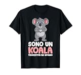 Regali Koala