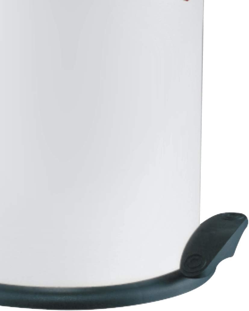 WESCO klassischer Tretabfallsammler CAPBOY MAXI in der Farbe mint, pulverbeschichtetes Stahlblech, Metalleinsatz aus 22 Liter Volumen, Kunststoff-Fußtritt