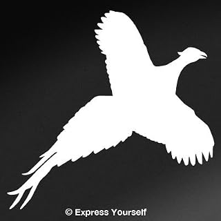 Express Yourself Flushed Pheasant (White - Image Facing as Shown - Small) Decal Sticker - Upland Game Bird Collection
