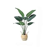 La planta de árbol en maceta es de 47 pulgadas de altura, canasta de flores tejidas únicas, diseño simple, colores simples.