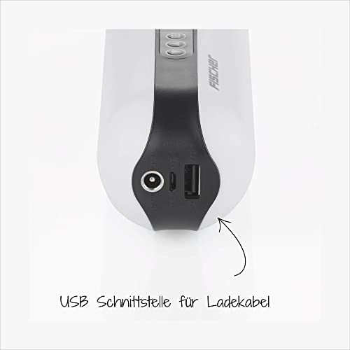 FISCHER 50375 Compresseur de Batterie, Pompe à air électrique 10,3 Bar, Batterie Externe et Lampe de Poche, pour vélo, Voiture, Moto, etc. Blanc
