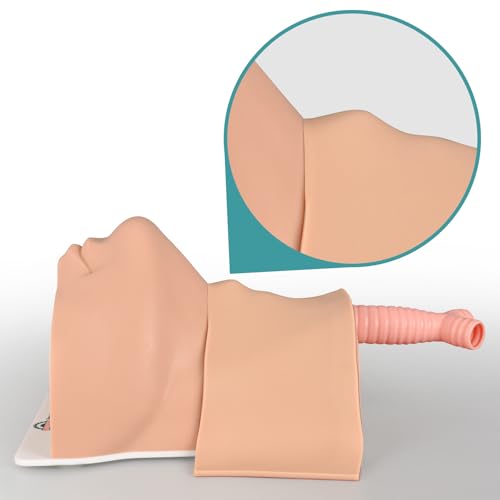 Image of Cricothyrotomy Task Trainer, Cricothyrotomy Simulator | Tracheostomy Trainer, Surgical Airway Trainer, Light Skin