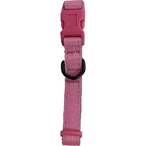 FRED&RITA Collar para perros Rosa y Azul 2,5x45,72-66,04 cm 1 unidad