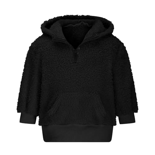 DDAPJ pyju Girls Fuzzy Fleece Pullover Hoodies Half Zip Long Sleeve Sherpa Hoodie Winter Warm Outerwear with Pocket 9M-8Y4