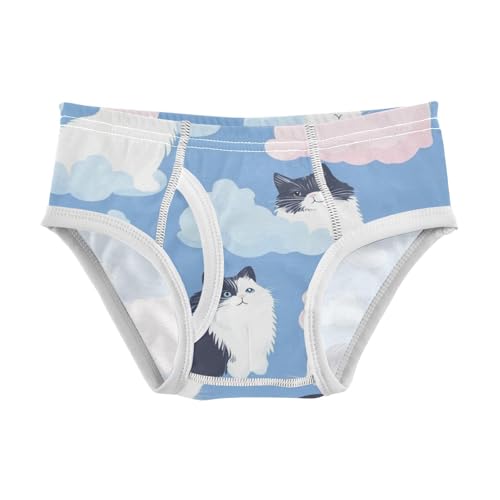 KLL Cats with Cute Clouds Pattern with blue Little Boys Cotton Athletic Underwear Breathable Children Panties