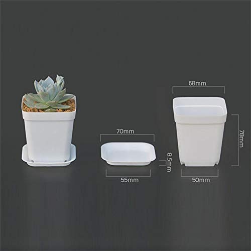 Cshangzei 24 Pack 3Inch White Square Plastic Plant Pots With Saucer,Seedling Nursery Transplanting Planter Container Indoor Outdoor For Your Garden,Office,Room And Balcony Decor #TOP1