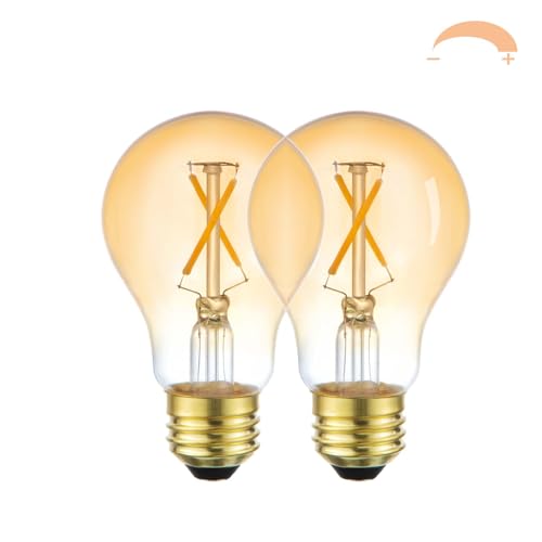 Yaoten A19 Vintage LED Edison Light Bulbs 25 Watt, 2-Pack Dimmable A19 2W 2700K Amber Warm Light Bulbs, E26 Base, 2W Equal 25 Watt Incandescent Bulbs, Decorative Antique A19 Bulb, 250LM