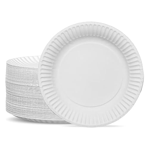 G4GADGET 30 Paper Plates - 9inch Disposable Party Plates
